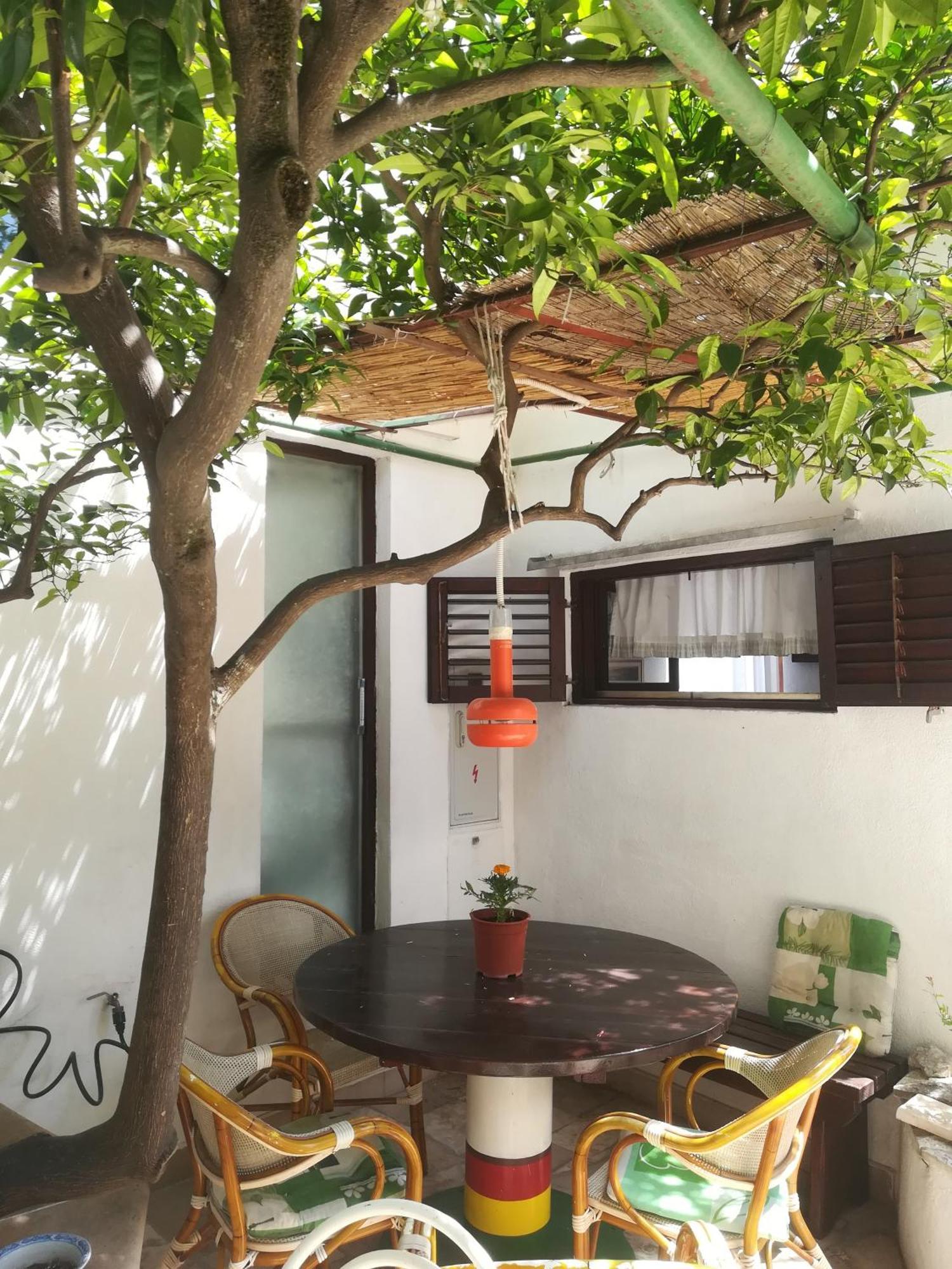 Apartman Karla Makarska Exterior photo