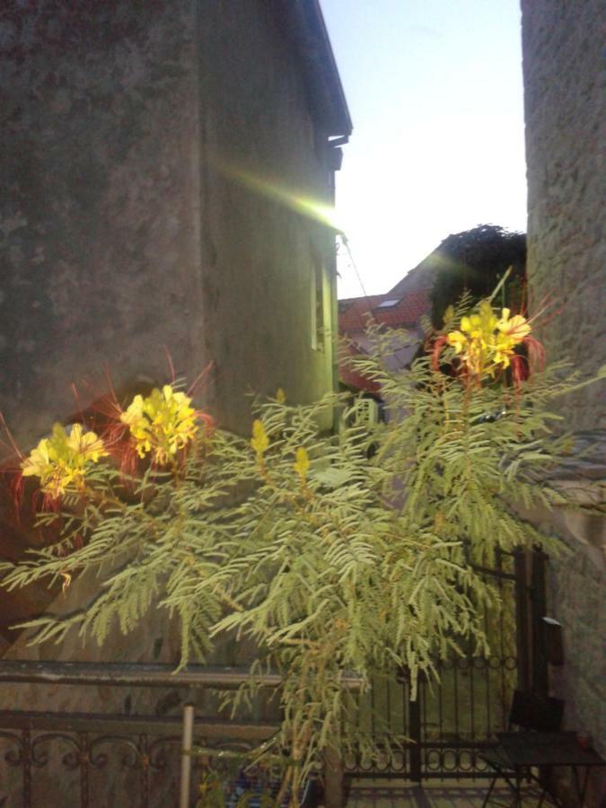 Apartman Karla Makarska Exterior photo